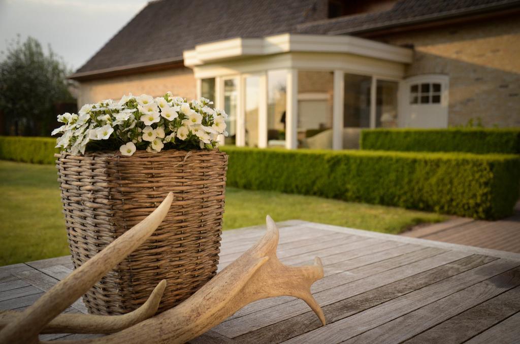De Groote Waere Hotel Диксмуид Екстериор снимка